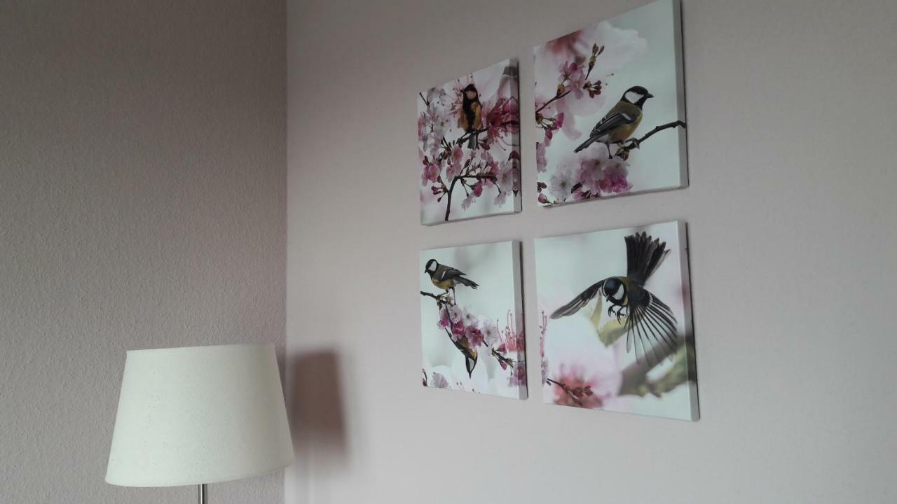 Ferienwohnung Sayntalblick Caan Экстерьер фото